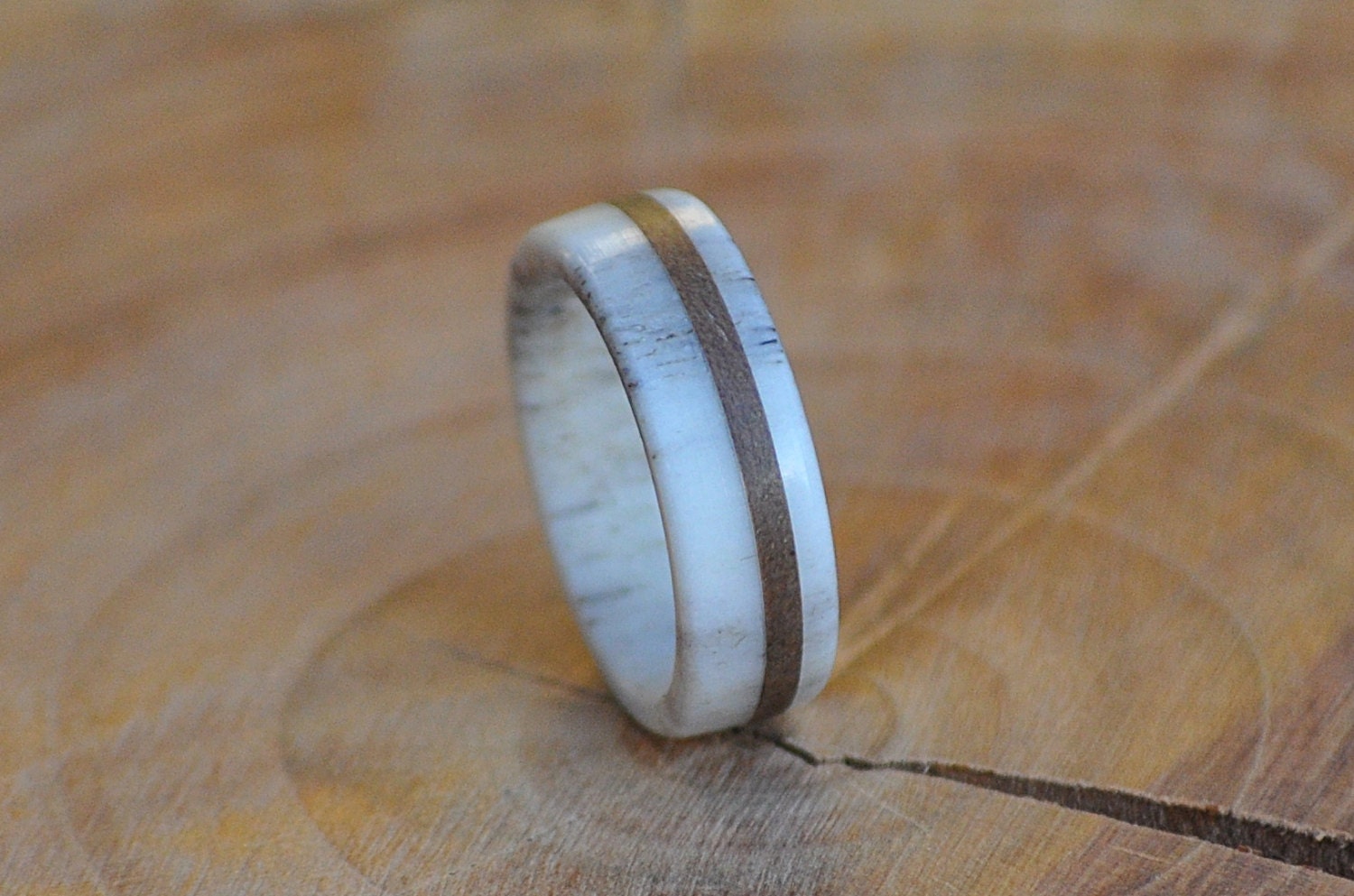 Deer Antler Ring with Walnut Wood Inlay, Men's or Women's Ring